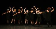Gala de danse classique adultes 2026 